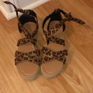 Cheetah platforms